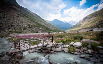 Guide du Parc National de la Vanoise (pour débutants)