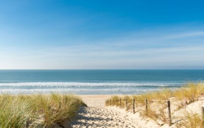 Que faire au Cap Ferret en famille cet été ?