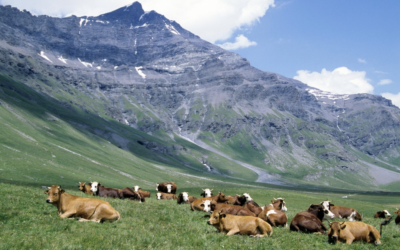 Quelles randonnées faire au parc national de la Vanoise ?